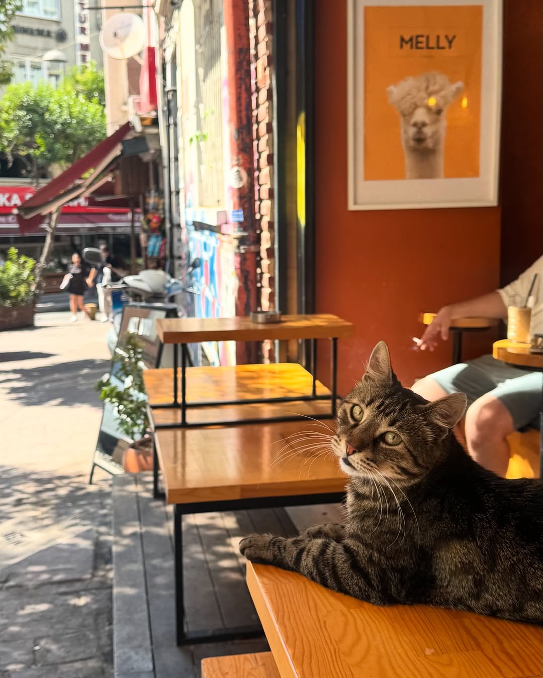 Instagram Fotoğrafı 1